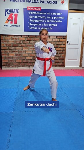 59K views · 1.8K reactions | 屢 Posiciones básicas del Karate Shotokan...