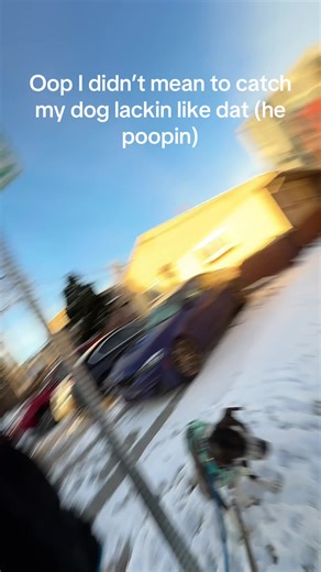 Ayo did not mean to catch goose like that