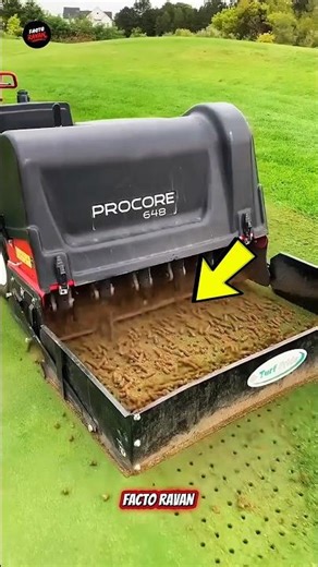 This is how a golf course is maintained