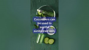 Fun Facts About Cucumbers facts funfacts cucumber fruitfacts youtubeshorts shortsvideo
