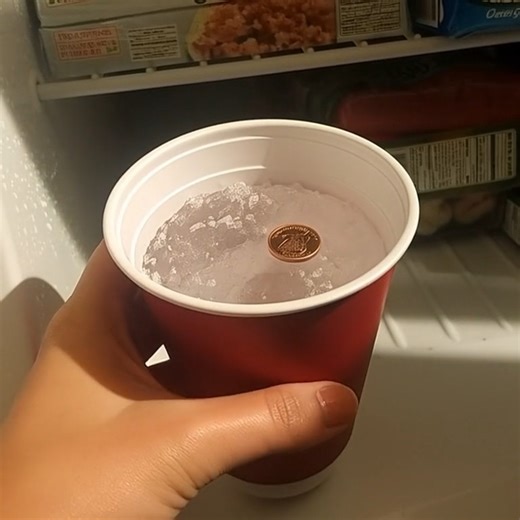 Why you should always put a coin in the freezer before you leave home | Sculpture