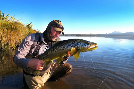 Four Solid 7 Weight Fly Rod Uses - catch larger game fish - FlyRods