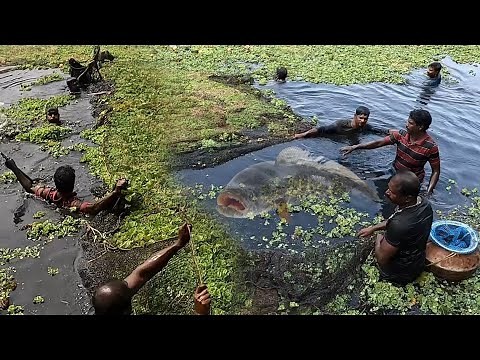 ഈ കുഴിയിൽ ഇത്രയും വരാലോ😱Village Fishing|Kerala Fishing|Fishing Malayalam|Traditional Fishing|Fishing