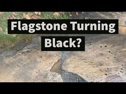 Best Way To Clean And Seal Flagstone To Remove And Prevent Mold And Algae
