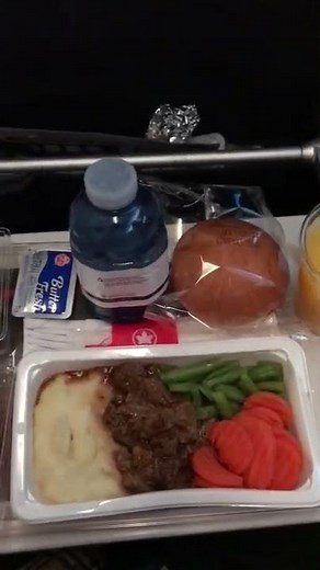 Airline meal service - Air Canada International Economy Class #shorts