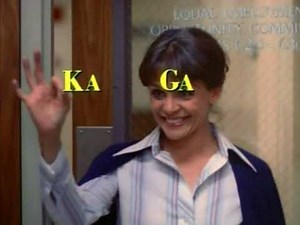 Kanin-Gallo Productions/Warner Bros. Television (1980)