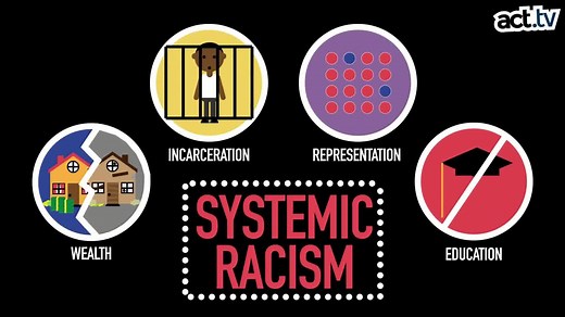 40K views · 456 reactions | Systemic racism explained. Via act.tv. | Paloma Faith | Facebook
