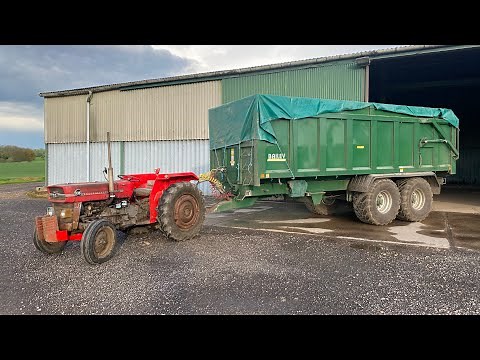 Massey Ferguson 135 automatic pick up hitch.