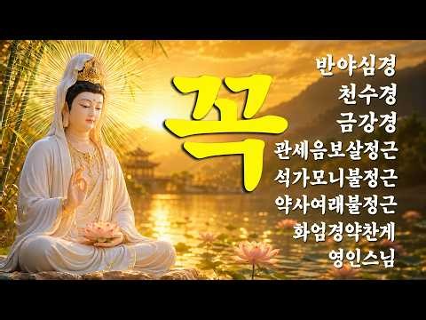 대운이 가득차고, 운수대통하는 불경 🙏🍄🌺 반야심경,천수경,금강경,관세음보살정근,석가모니불정근,약사여래불정근,화엄경약찬게 - 영인스님