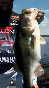 4 1/2? Double it and give it to ‪@Christiefishing‬