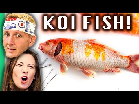 Eating Japan's Most PRIZED Fish!!! Fukushima's RARE Countryside Foods!!