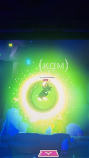 make a mega chocolate labrador with me!!🫶🏾 #adoptme #roblox #youtubeshorts #fypシ