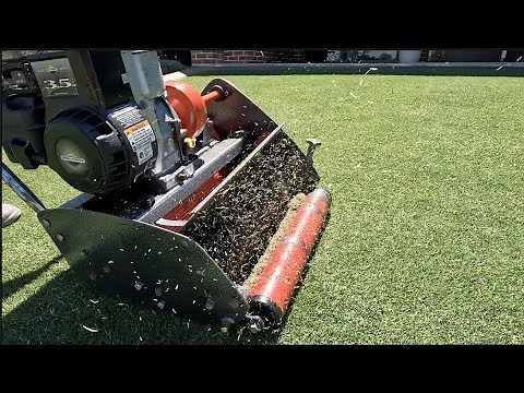 Grooming / Dethatching Couch / Bermuda Grass with my Dad