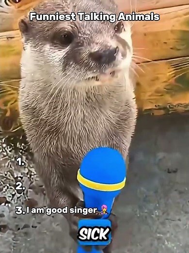 😂 Funniest talking animals EVER 🐶🐱
