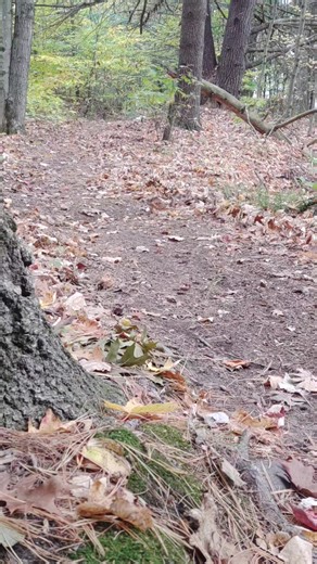 Video of the new England fall classic | Gabe Gonyo