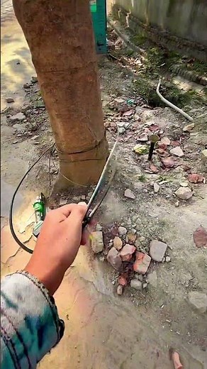 Easy way to save your tree by removing wires from Tree 🌳