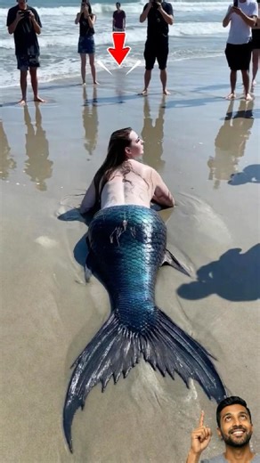 سيظلّ سرّ حوريات البحر يطارد خيالنا إلى الأبد 😱#اكسبلور #Mermaid #Mystery