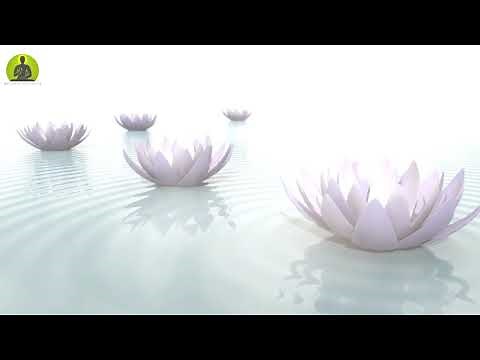 "Deepest Healing Music" Let Go Of All Anxiety & Stress, Meditation Music Relax Mind Body