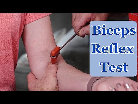 Biceps Deep Tendon Reflex - Step by Step