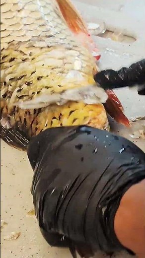 how to remove fish scales