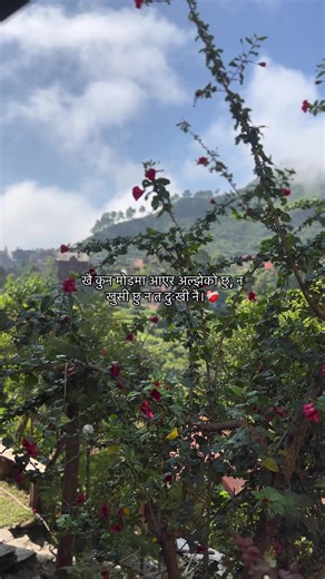 #lamyahora #safal #YUNESx #fyp