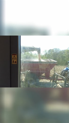 Combining Corn full tilt #trucking #farming #claas #harvest #oldtrucks