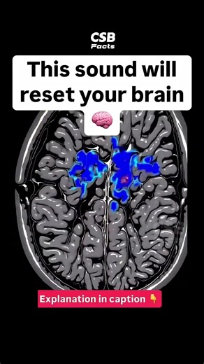 This Sound Resets Your Brain in 12 Seconds 🤯🧠 | 432 Hz Explained