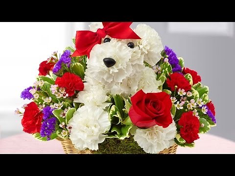 Here’s How 1-800-Flowers Plans to Compete With Amazon | Fortune