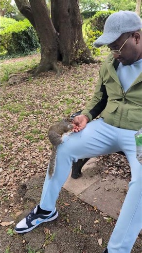 Friendly Squirrel Enjoys Snacks on a Park Bench
