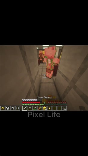 Now I know how they are so rich... Subscribe! #lifestealsmp #roblox #minecraft #pixelarmy #memes