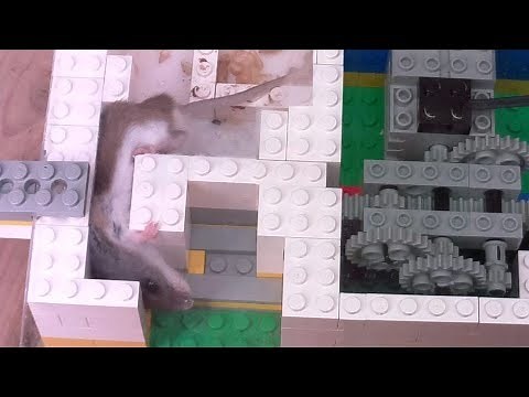 Smallest gap for a mouse experiment lego machine