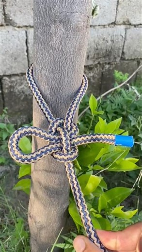 Decorative Knot Skills #shorts #knot