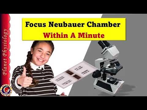 Focus Neubauer Chamber Within a Minute