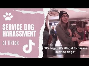 Service Dog Harassment of TikTok