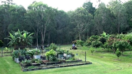 Welcome to Self Sufficient Me: Exploring a thriving backyard homestead!