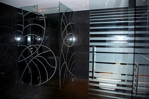 Etched Glass Shower Doors