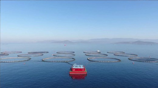 Discover Bureau Veritas