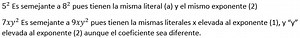 Operaciones con Monomios Lenguaje Algebraico Ejercicios Resueltos﻿