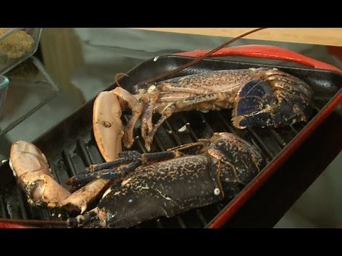 Prepare a lobster