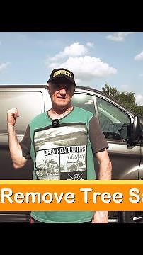 Amazing Trick to Remove Tree Sap Without Ruining Your Car Paint!