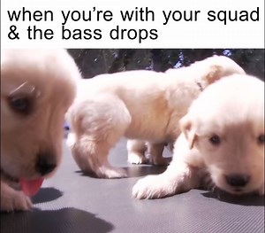 1.5M views · 18K shares | The 3-day weekend is here: it is officially time to get lit | Dancing Astronaut | Facebook