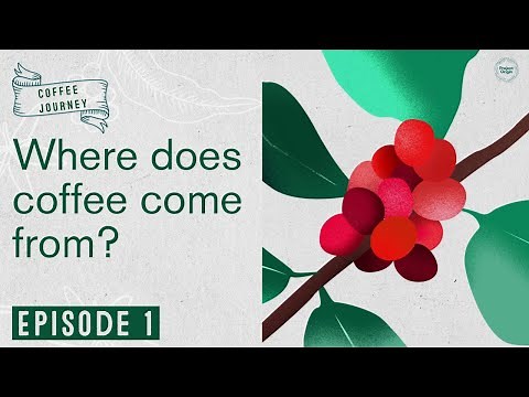 Coffee Journey | Ep 1 | Where Does Coffee Come From
