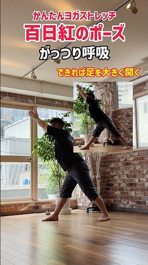 朝や寝る前にもおすすめ！かんたんヨガストレッチ【百日紅のポーズ】