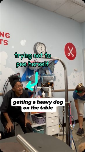 How many people does it take to put a dog on a table? . . #doggrooming #grooming #petgrooming #dog #groomerlife #groomerhumor #goldenretriever | Genuine Grooms by Jenny Wind