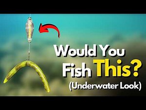 Have You TRIED the Wacky Float Rig? (Watch Underwater)