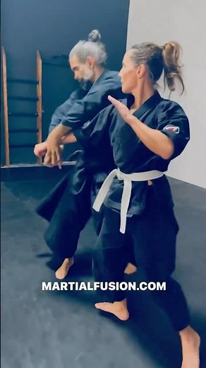 Aikido Martial Fusion Tsuki Kotegaeshi