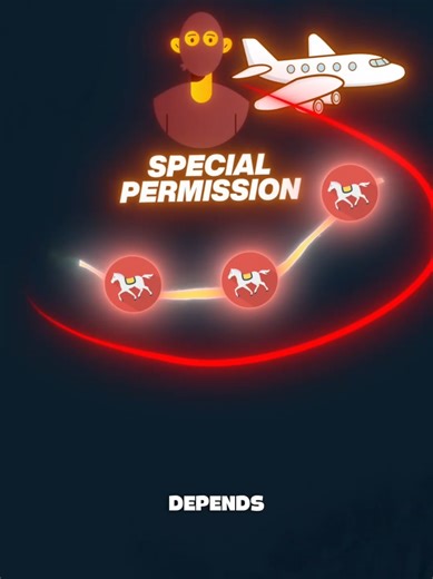 Explore the Island Where Wild Horses Roam Freely