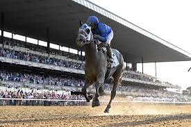 Belmont Stakes: Picks| 2022 odds| 2022 lineup| Record - sportsjone