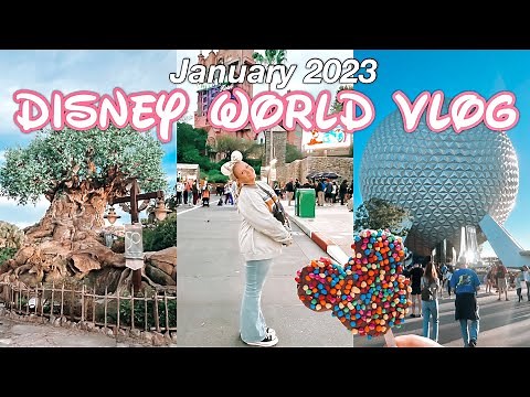 Walt Disney World Vlog | January 2023