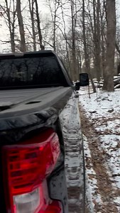 Farm Celebrity! #farm #celebrity #fyp #cute #fypシ | KC Farms